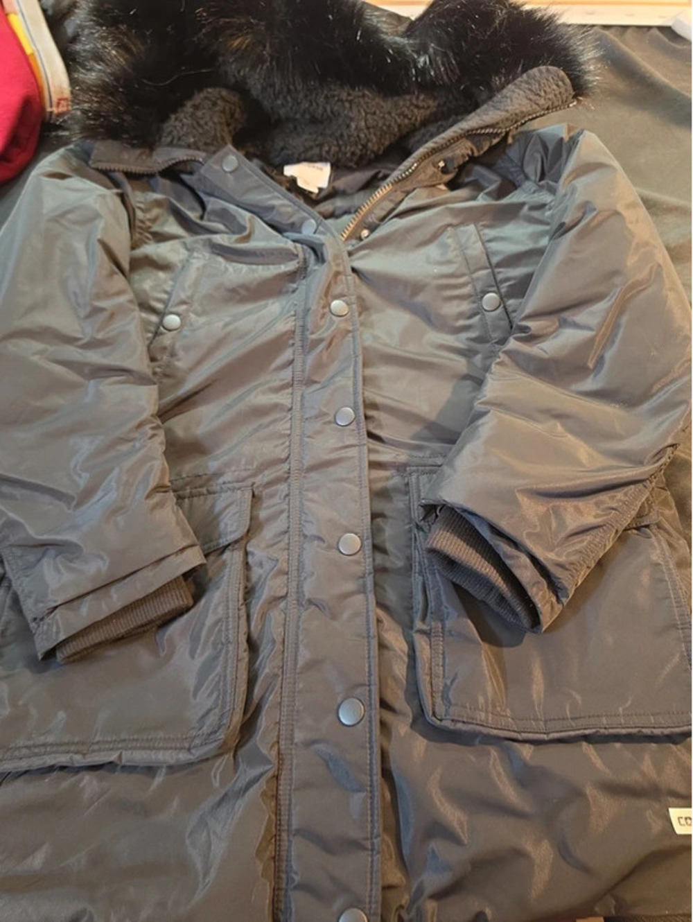 Converse jacket